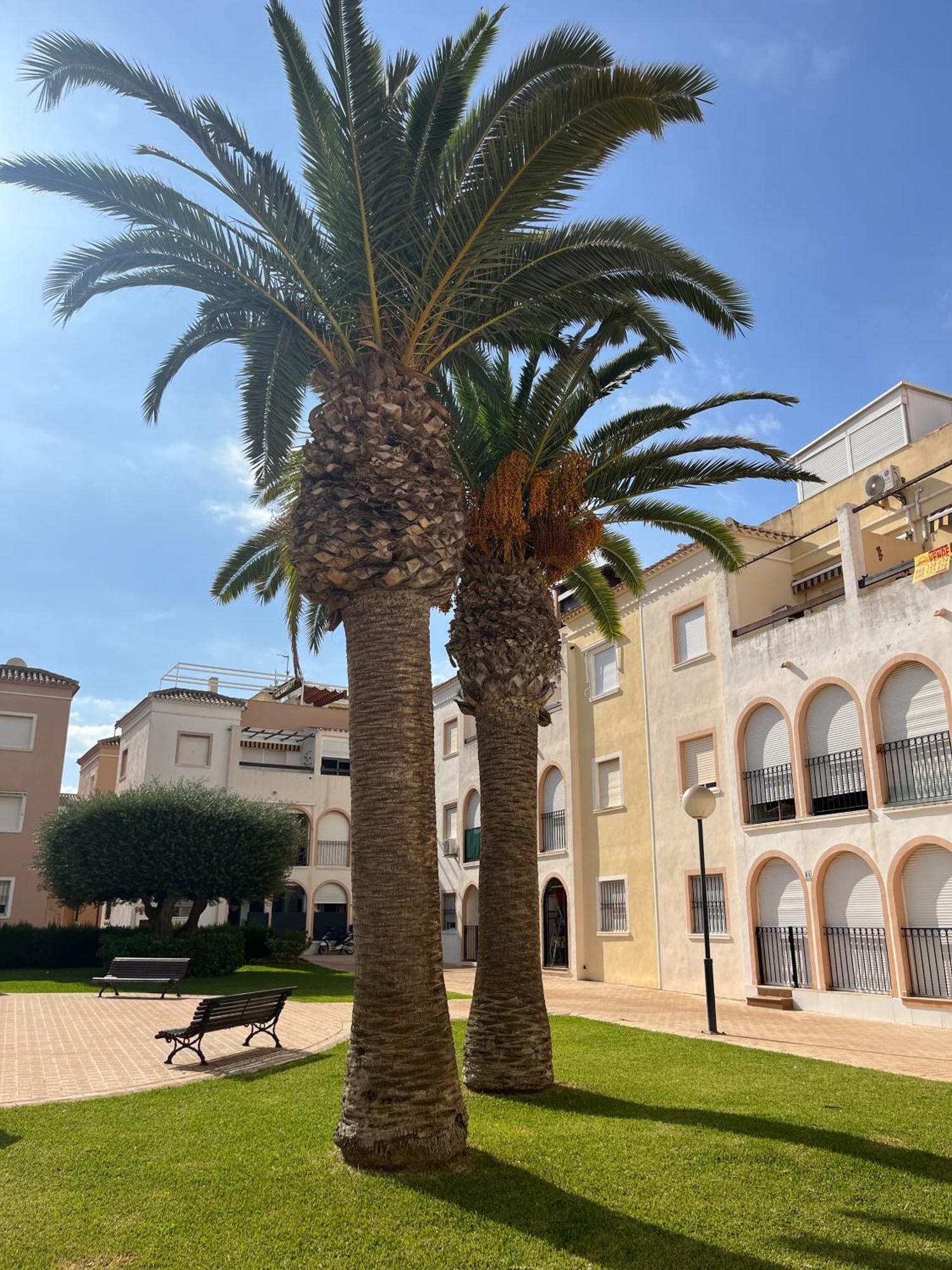 Torrevieja 2 Bedrooms Appartment Exteriér fotografie