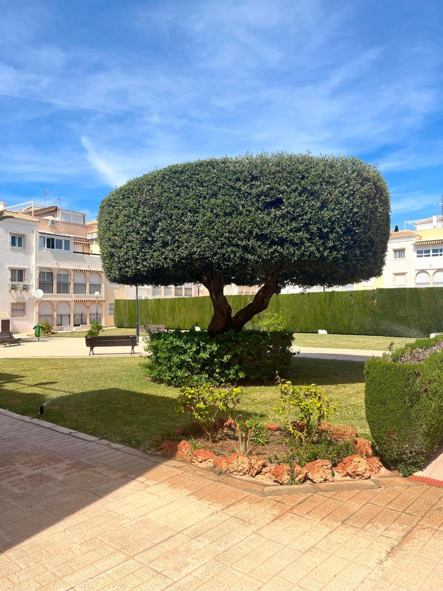 Torrevieja 2 Bedrooms Appartment Exteriér fotografie